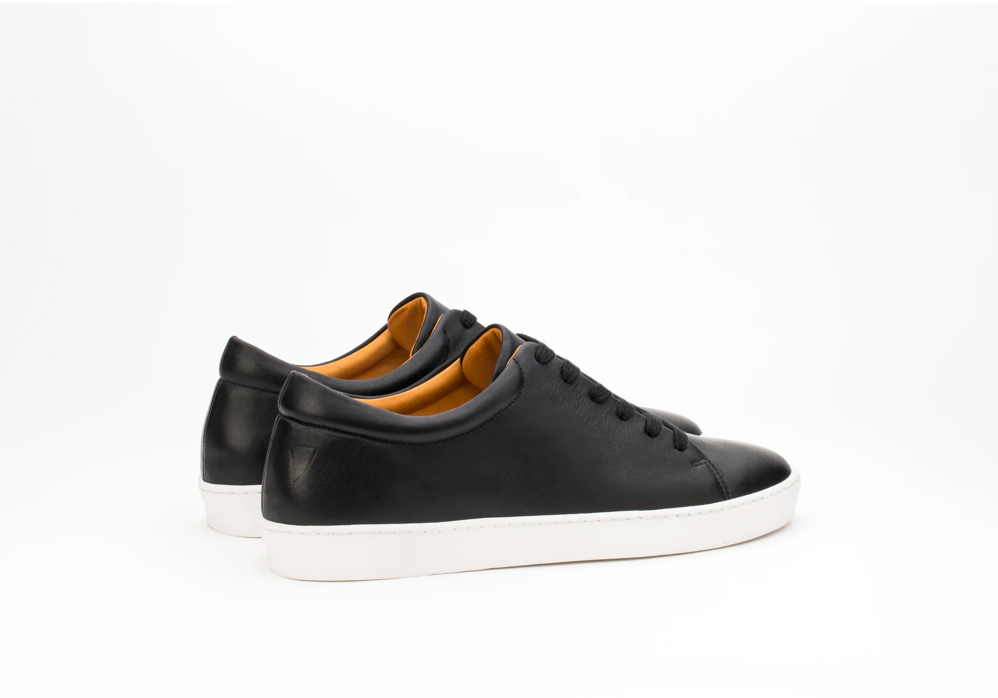 Royal Black V.L. - Image 5